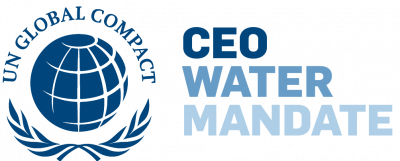 Logo CEO